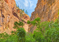 The Zion Canyon Narrows by John Bailey