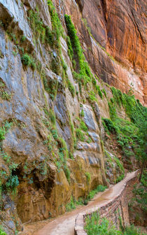Fun Hike At Zion Canyon by John Bailey