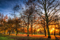 Autumn in London von David Pyatt