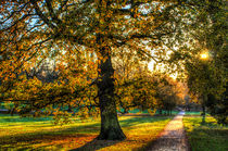 England in Autumn by David Pyatt