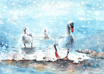 Swans On Lake Constance von Miki de Goodaboom