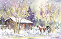 Horses In Voerstetten In Winter von Miki de Goodaboom