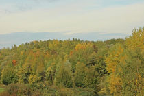 Herbstwald im Ruhrgebiet by toeffelshop