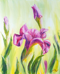 Irises, oil painting on canvas by valenty