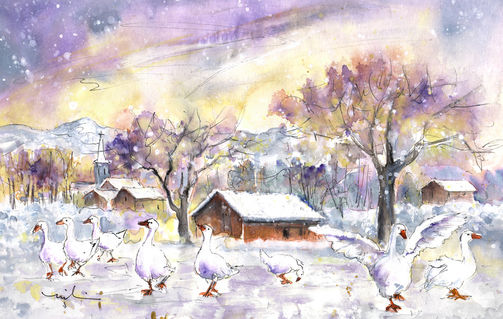 Geese-in-germany-in-winter-m