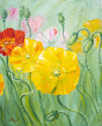 Poppies, oil painting on canvas by valenty