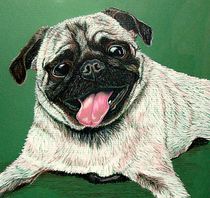 Pugs and Kisses by Susan Bergstrom