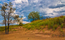 Sand Dunes At Indian Dunes National Lakeshore by John Bailey