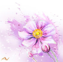 Japanese Anemones flower. Watercolor. von valenty