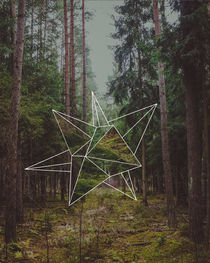 Mystic Forest by Florian Barfrieder