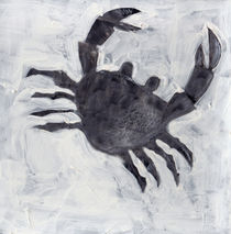 Crab by Stefano Bonif