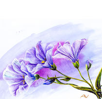 Wildflowers. Watercolor painting. by valenty