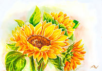 Sunflowers. Watercolor painting. by valenty