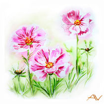Painted watercolor card with cosmos flowers by valenty