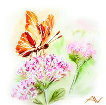 Painted watercolor card with summer flowers and butterfly by valenty