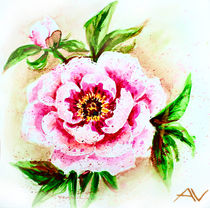 Painted watercolor card with peony flower by valenty
