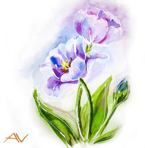 Purple tulips, watercolor painting. by valenty