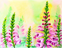 'Foxglove flowers, oil painting on canvas' by valenty
