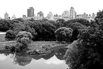new york city ... central park relaxation von meleah