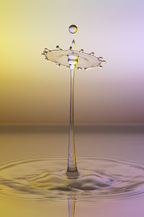 Wasserfackel by Bernd Wolter