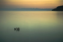 Bodensee by Annette Sturm