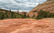 Colorful Layers At Zion von John Bailey