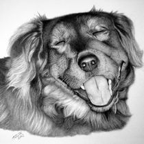 Comissioned Drawing-Griff von Tina Nelson