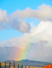 Rainbow Wineland by crismanart