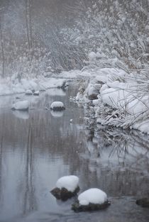 Winterstimmung am Fluss... von loewenherz-artwork