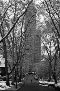 Cathedral of Learning from Lytton Avenue by Michael Whitaker