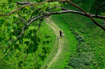 A Young Couple Walking In Cave Dale by Rod Johnson