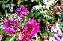 Spilt Paint on Flowers von Dan Richards