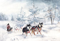 Huskies Sledge In Germany von Miki de Goodaboom