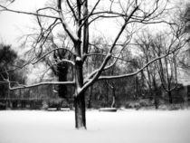 Winter by Glen Mackenzie