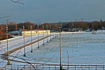 Winterliche Trabrennbahn by toeffelshop