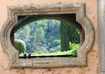 Mallorca - Blick ins Grüne von Edith Diewald