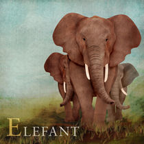 ABC Poster - E Elefant von Gaby Jungkeit