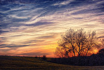 Sunset on A Painted Sky von Vicki Field