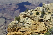 Grand Canyon von Joerg Doerband