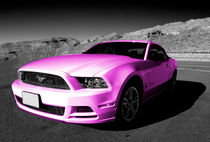 Pink Mustang  by Rob Hawkins