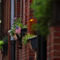 Boston-brick-row-houses