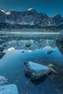 frozen beauty by Bor Rojnik