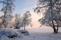 Eiskalter Wintermorgen von Bruno Schmidiger