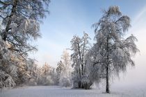 Winterwunderland by Bruno Schmidiger