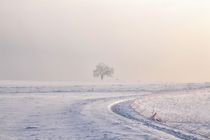 Verträumter Wintermorgen by Bruno Schmidiger