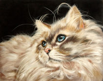 Langhaarkatze (Longhaired Cat) von Christina Frenken