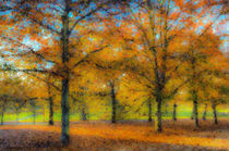 Greenwich Park Autumn Art by David Pyatt
