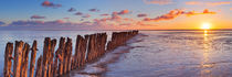 Wooden breakwater at sunrise by Sara Winter