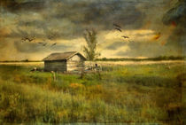 Country Life by Annie Snel - van der Klok