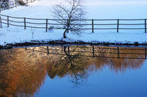 Winterliche Impression by AD DESIGN Photo + PhotoArt